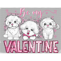 Valentine's Day-QRJ  7479